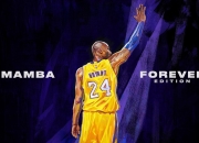 爱游戏大厅-奥纳纳一夫当关，克罗地亚对阵瑞典之战，全场最佳无争议