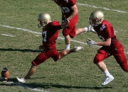 爱游戏APP-伊布执鞭，南美风暴，当乌拉圭的狂野遇上瑞典的智慧