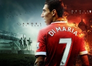 爱游戏娱乐-归化者波尔