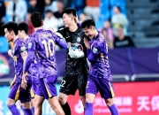 爱游戏官方入口-江苏天津虎队勇夺冠军，终于获胜