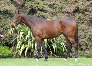 爱游戏官方-马赛马耶特尼兴奋迎战法国联赛