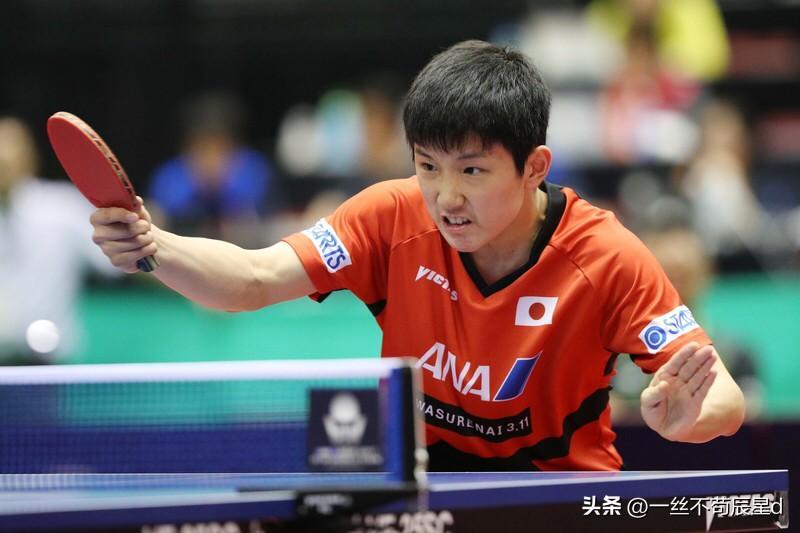 包含中国队翻盘英格兰队，张本智和高光表现的词条