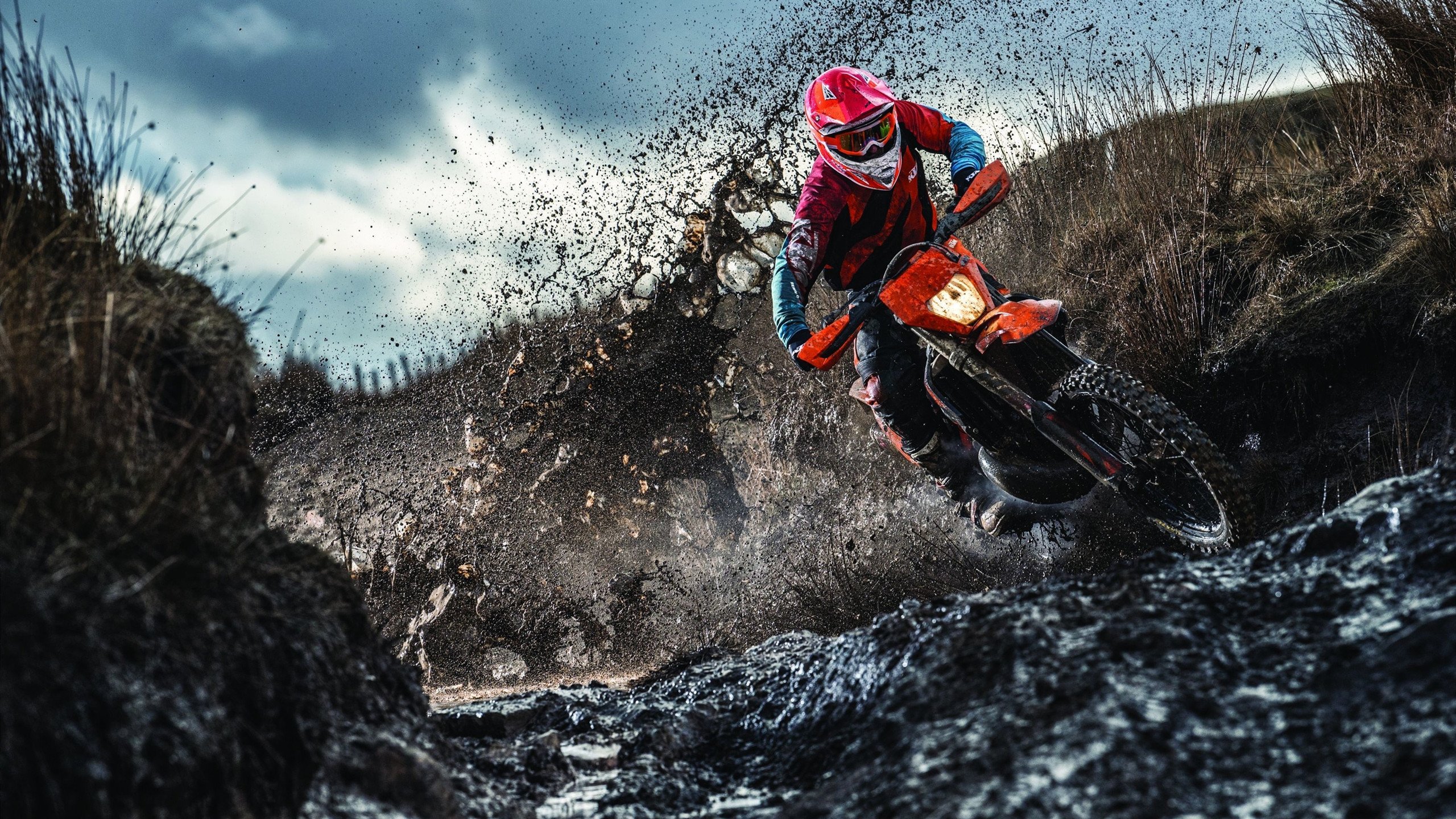 万国大都市的篮下心跳,东契奇超神一传,上海男篮险胜芝加哥公牛